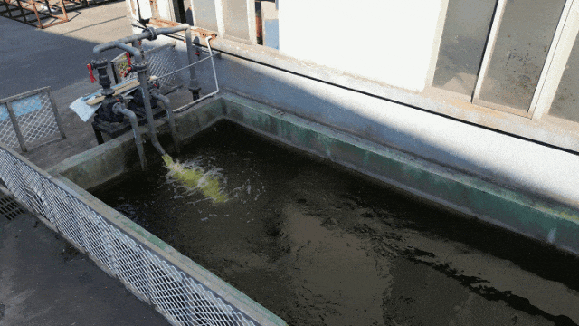 喜讯!中亚铝业荣获企业绿色品牌!(图7) 喜讯!中亚铝业荣获企业绿色品牌!(图7)